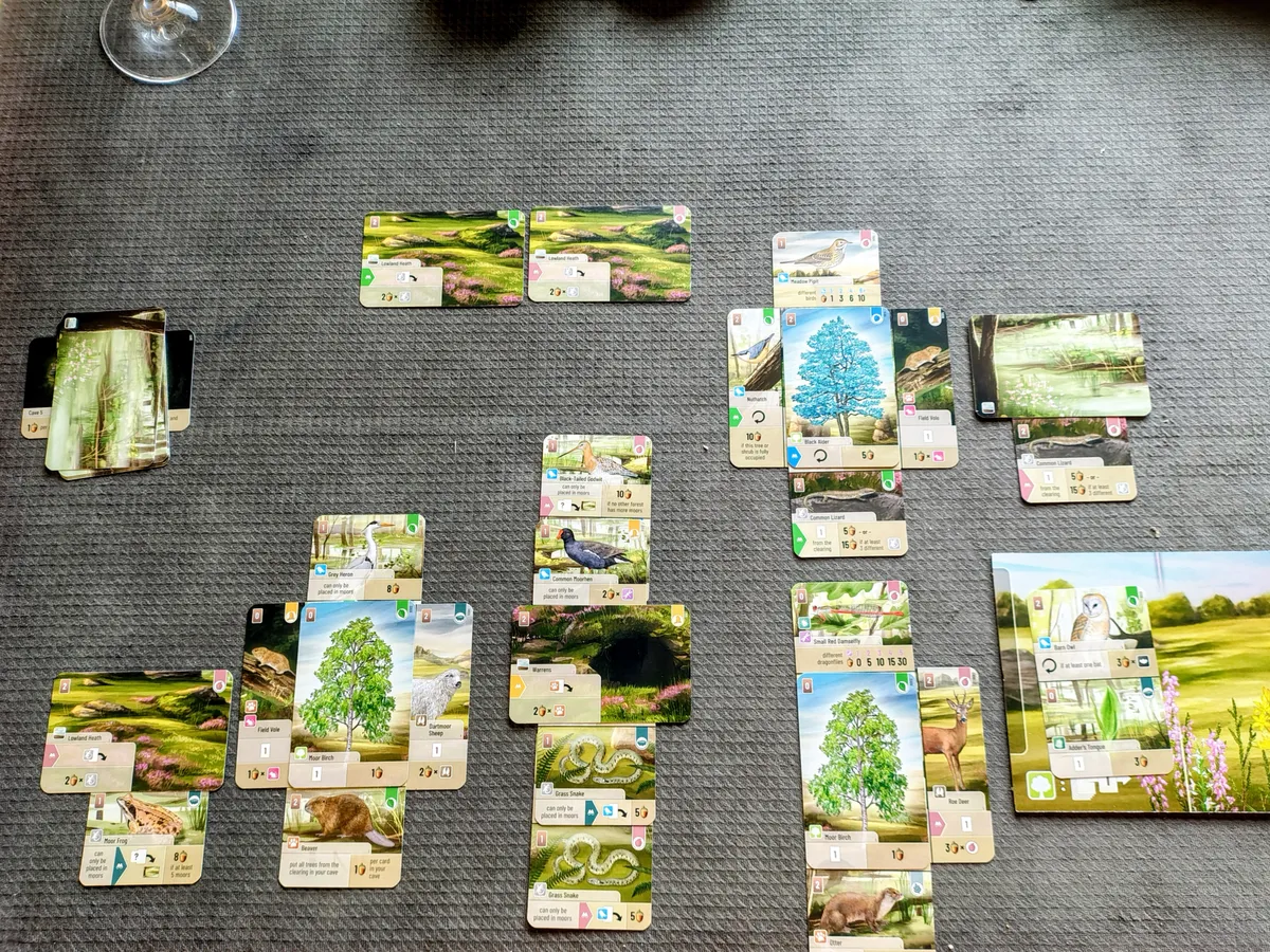 Upload image for Forest Shuffle: Dartmoor 