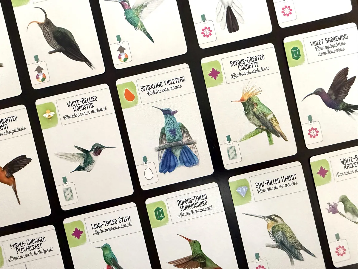 Upload image for Wingspan: Americas Expansion