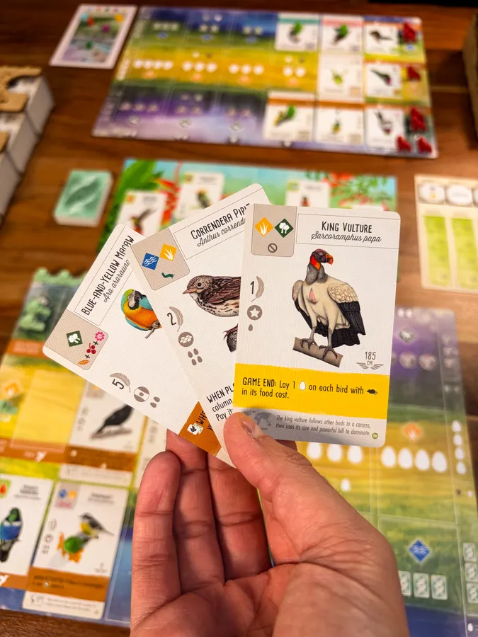 Upload image for Wingspan: Americas Expansion