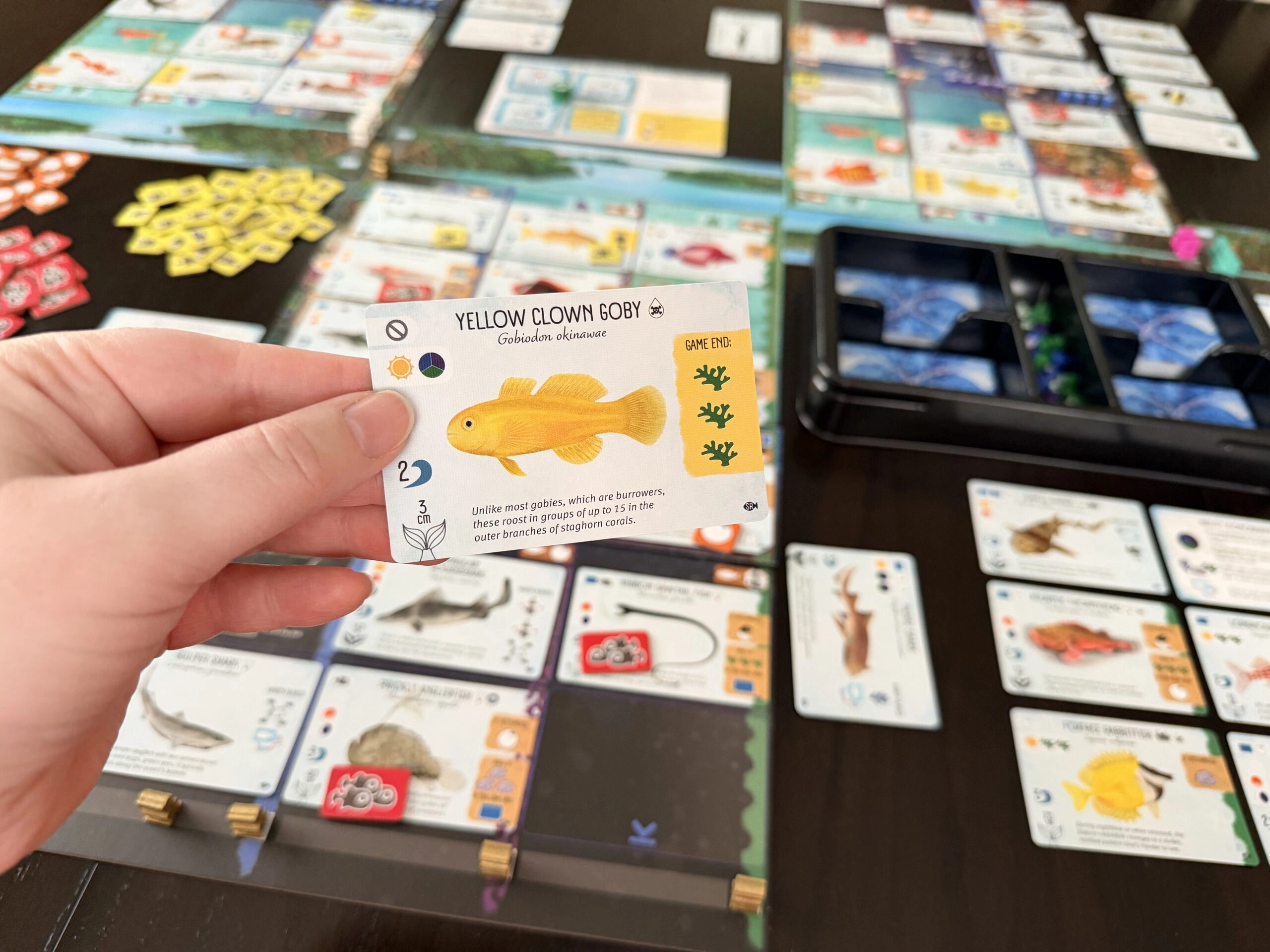 Upload image for Finspan: Sharks & Reefs Expansion
