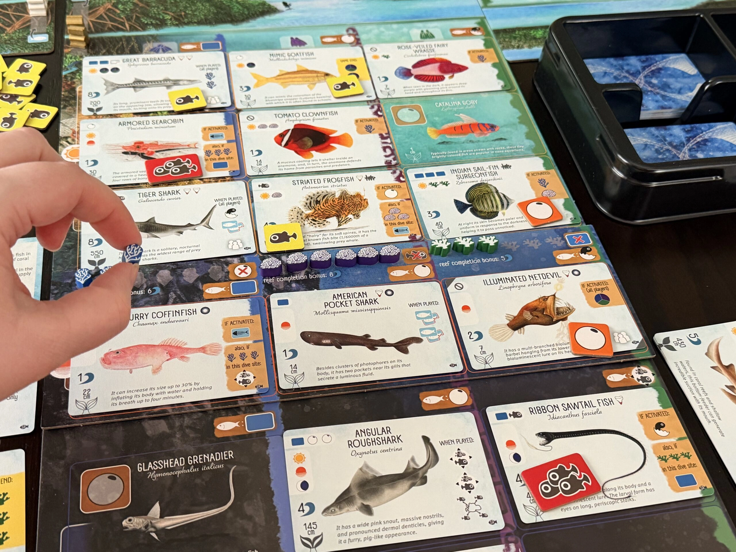 Upload image for Finspan: Sharks & Reefs Expansion