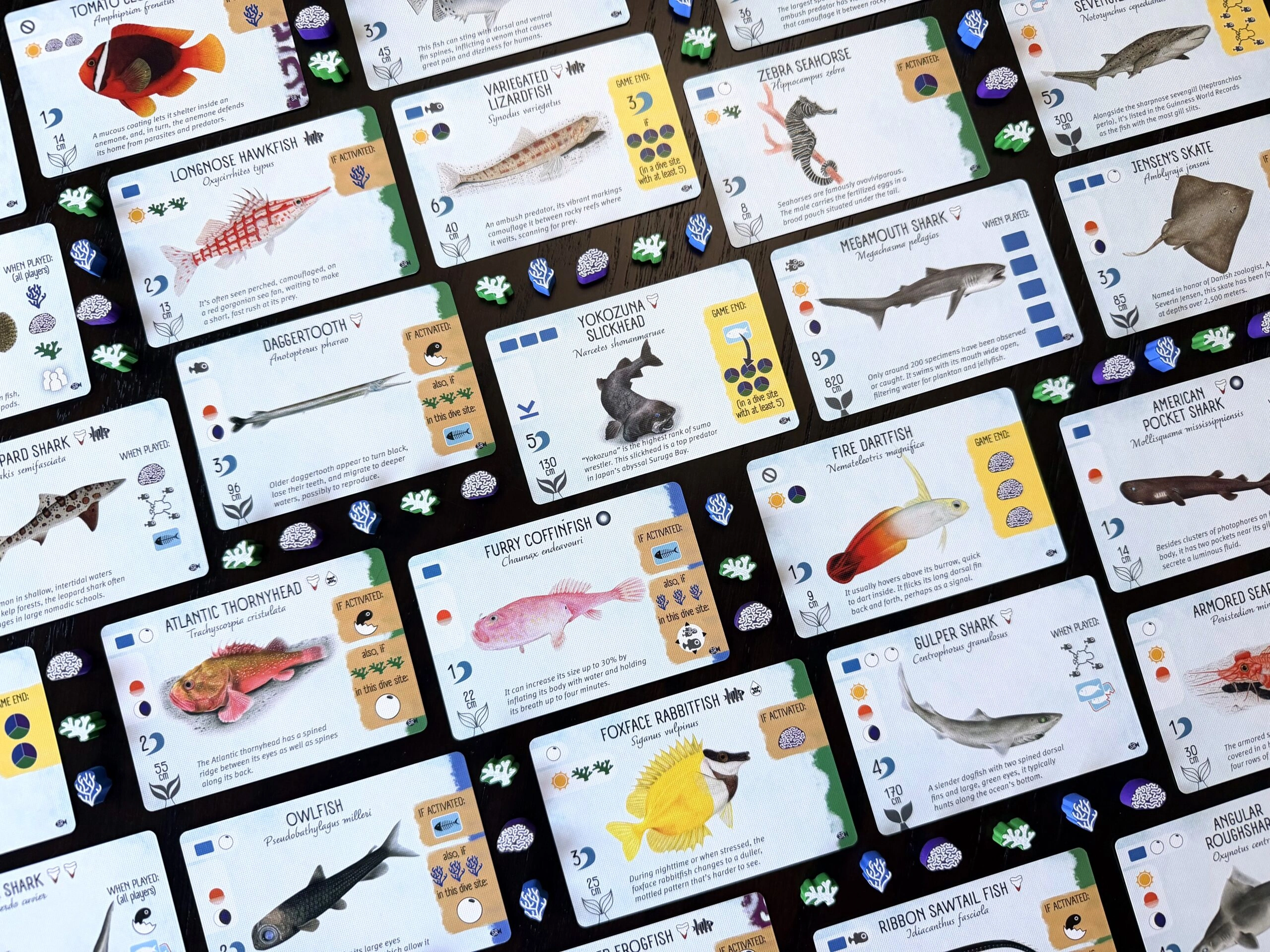 Upload image for Finspan: Sharks & Reefs Expansion
