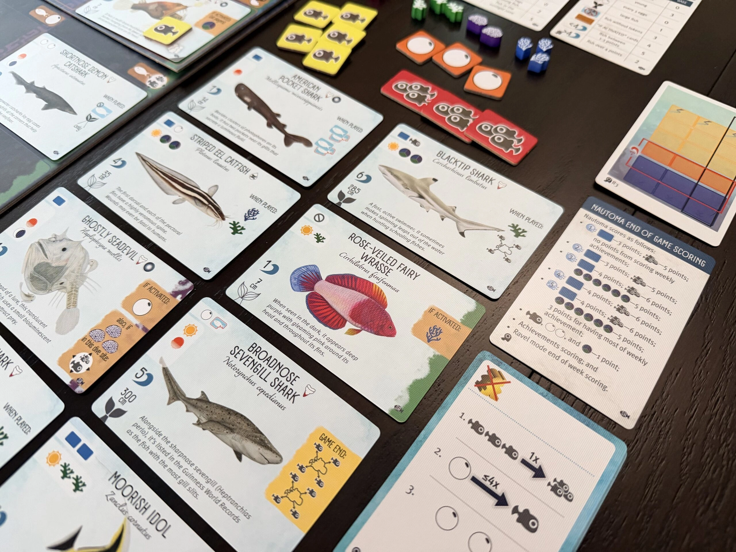 Upload image for Finspan: Sharks & Reefs Expansion